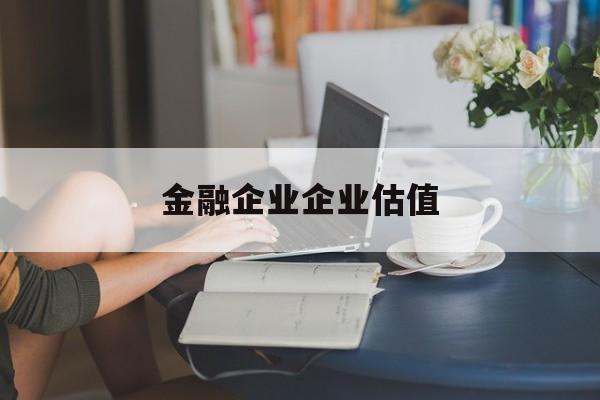 大兴安岭地区金融企业企业估值(最新企业估值怎么填)